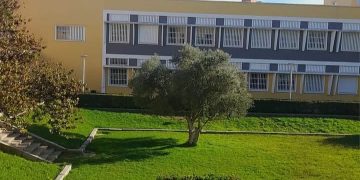 Educación online: Sí pero No.