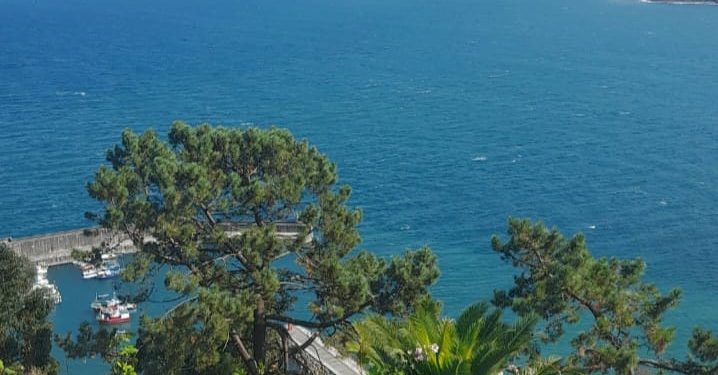 ¿Es feliz o está feliz?