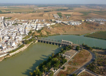 Alcalá del Río y la privatización del Servicio de Ayuda a Domicilio