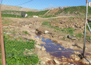 Presuntos vertidos de aguas negras contaminadas desde el Centro de Residuos de Villarrasa hacia los arroyos