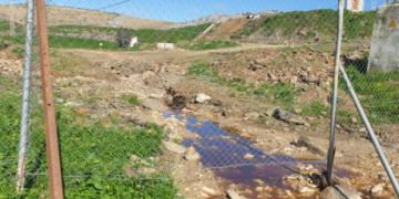 Presuntos vertidos de aguas negras contaminadas desde el Centro de Residuos de Villarrasa hacia los arroyos