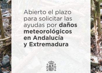 El Gobierno abre el plazo de ayudas para afectados por temporales en Andalucía y Extremadura