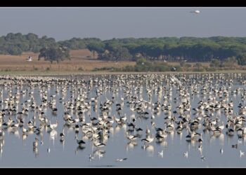 Conoce este municipio sevillano que cuenta un parque lunar de más de 600 hectáreas