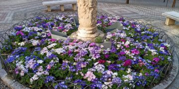 Jaén se llena de color con la plantación de más de 6.000 flores de temporada primavera-verano