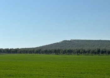 Alivio en el campo ante la regularización extraordinaria de migrantes: “Era necesaria”
