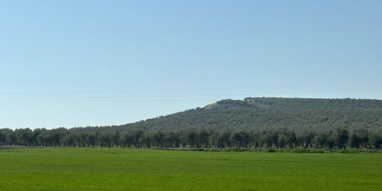 Alivio en el campo ante la regularización extraordinaria de migrantes: “Era necesaria”
