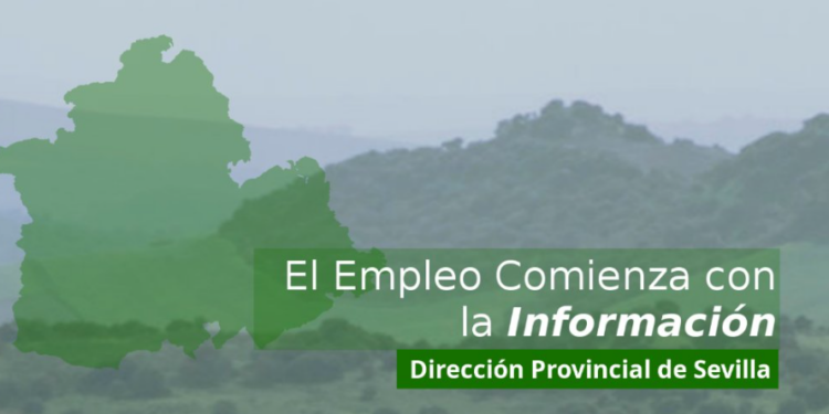 El SAE lanza una oferta de empleo en Morón de la Frontera