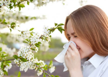 Especialistas del Hospital Virgen de la Macarena ofrecen recomendaciones frente a las alergias