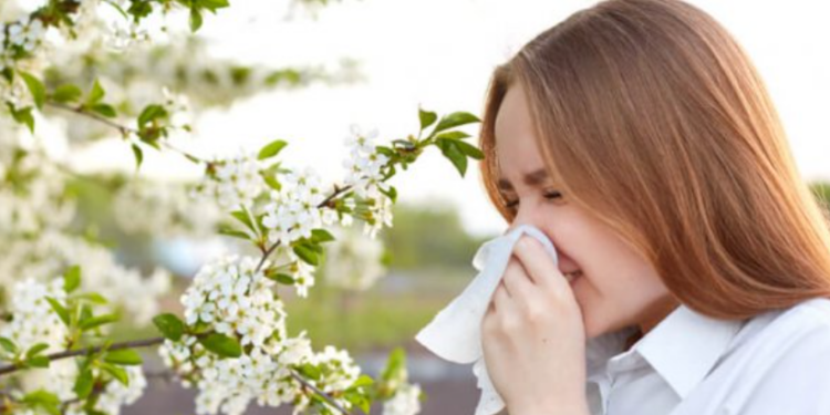 Especialistas del Hospital Virgen de la Macarena ofrecen recomendaciones frente a las alergias