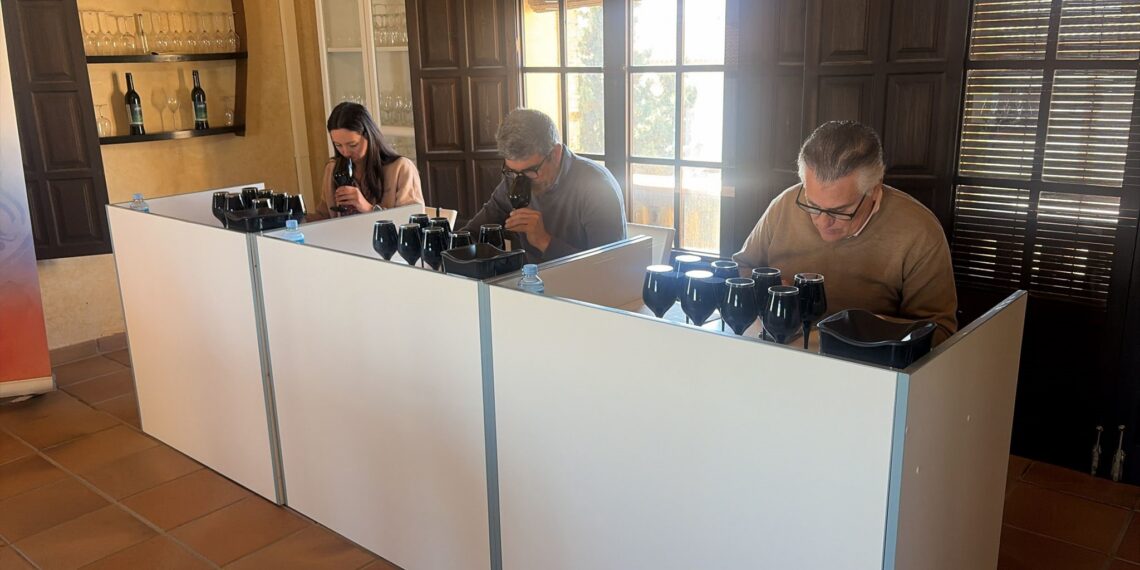 El Condado de Huelva firma una cosecha muy buena en 2025 pese al impacto del mildiu