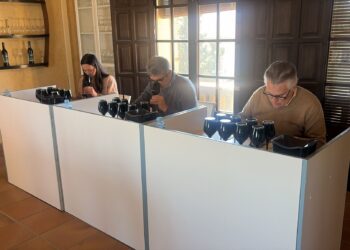 El Condado de Huelva firma una cosecha muy buena en 2025 pese al impacto del mildiu