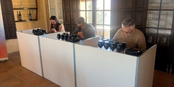 El Condado de Huelva firma una cosecha muy buena en 2025 pese al impacto del mildiu