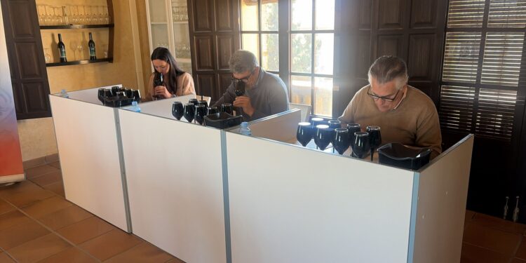 El Condado de Huelva firma una cosecha muy buena en 2025 pese al impacto del mildiu