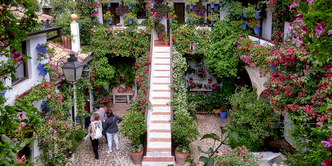 Córdoba abre sus Patios 2026 con rutas, horarios ampliados y nuevas incorporaciones