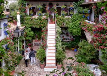 Córdoba abre sus Patios 2026 con rutas, horarios ampliados y nuevas incorporaciones