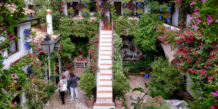 Córdoba abre sus Patios 2026 con rutas, horarios ampliados y nuevas incorporaciones
