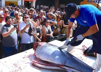 Ronqueo del atún en Jerez durante la Capitalidad Gastronómica 2026