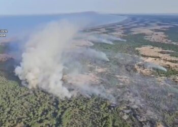 : Incendio de Doñana con medios de extinción desplegados en el entorno de Almonte