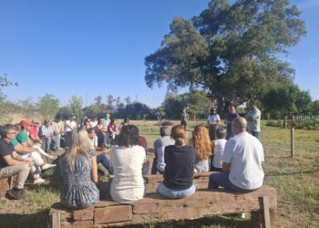 Más de un centenar de centros educativos participan en los huertos escolares impulsados por la Diputación de Cádiz