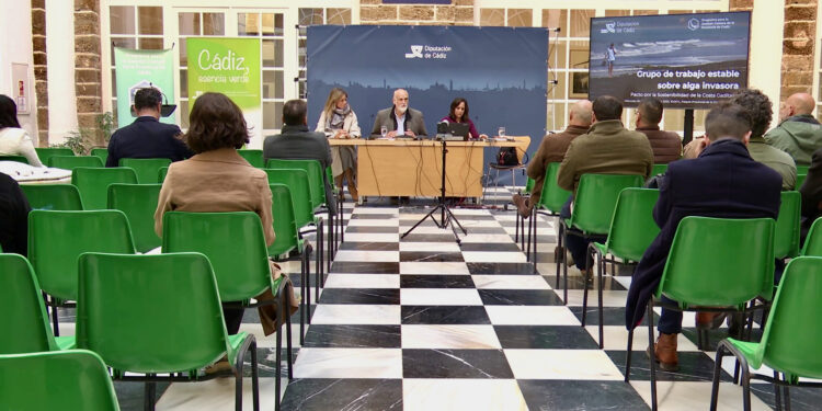 La Diputación de Cádiz eleva hasta los 600.000 euros las ayudas para combatir el alga invasora