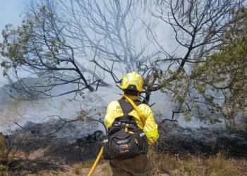 ncendio de Doñana controlado en el paraje del Rincón del Membrillo