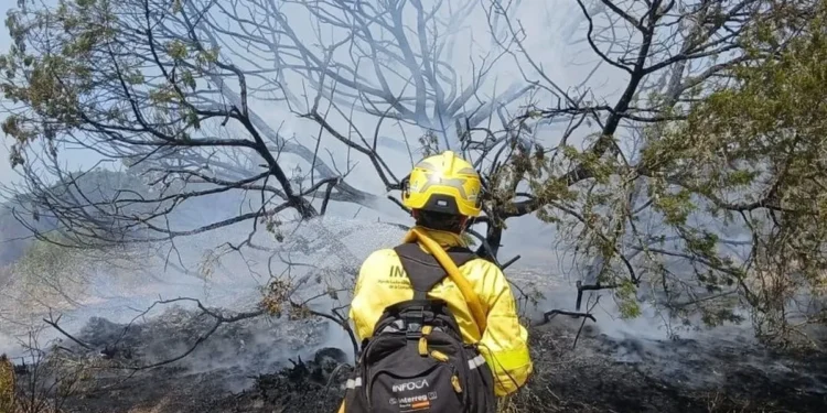 ncendio de Doñana controlado en el paraje del Rincón del Membrillo