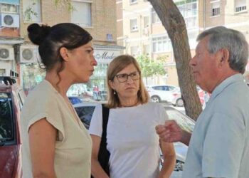 Málaga estalla contra las plagas mientras el PP culpa a los vecinos: “Nos criminalizan en lugar de actuar”