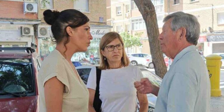 Málaga estalla contra las plagas mientras el PP culpa a los vecinos: “Nos criminalizan en lugar de actuar”