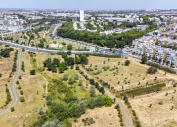 Mairena del Aljarafe se consolida como una de las ciudades más seguras de Andalucía al registrar una criminalidad muy por debajo de la media