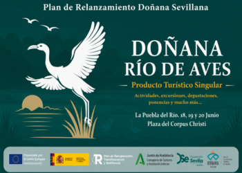 La Puebla del Río se convierte en capital del turismo ornitológico con la feria ‘Doñana Río de Aves’