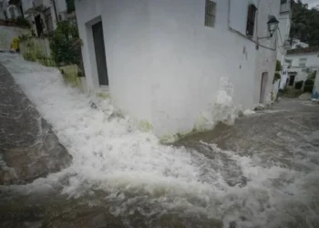El Gobierno de España destina 55 millones de euros a 4.110 explotaciones agrarias de Cádiz para compensar las pérdidas provocadas por las borrascas
