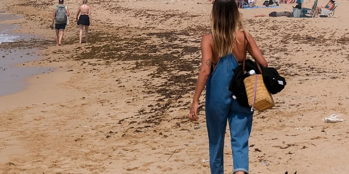 El alga asiática vuelve a las playas de Cádiz y reabre un problema ambiental que ya afecta al turismo y la pesca