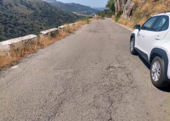 La Diputación mejorará la señalización horizontal carreteras Málaga en 99 vías provinciales