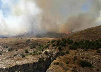 incendio canillas del aceituno