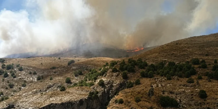 incendio canillas del aceituno