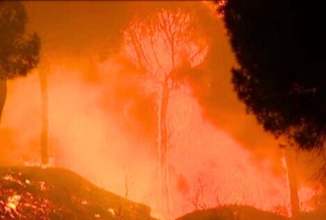 El Infoca extingue el incendio forestal declarado en Doñana