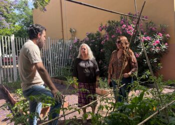 El PSOE de Sevilla acusa a José Luis Sanz de abandonar los huertos escolares del CEIP Juan Ramón Jiménez y denuncia que las familias han asumido los costes