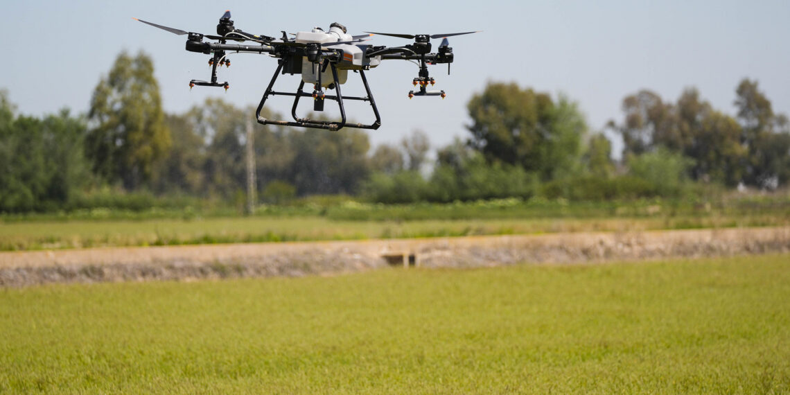 Dron tratamiento Virus del Nilo. Foto Diputación de Sevilla