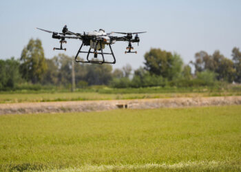 Dron tratamiento Virus del Nilo. Foto Diputación de Sevilla