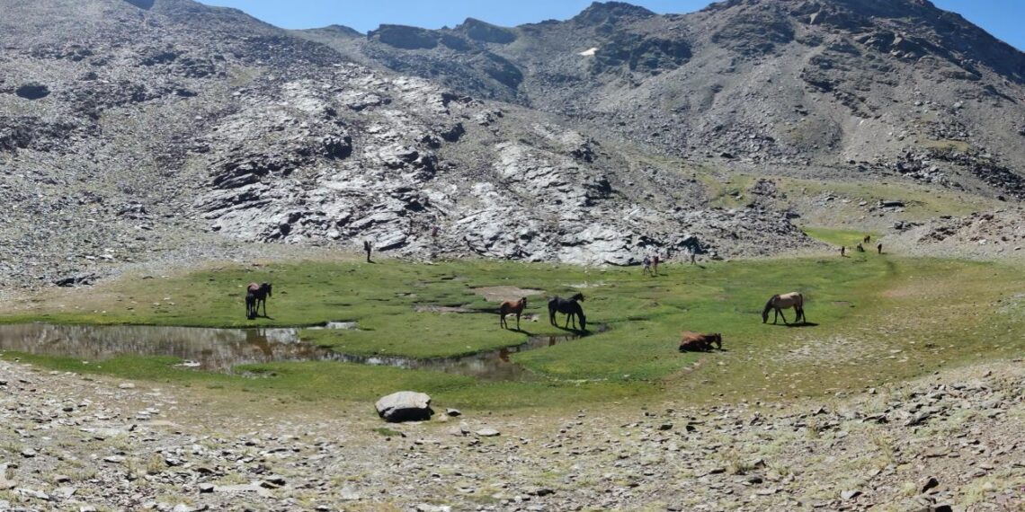 Sierra Nevada convierte el verano en un gran escenario de naturaleza, música y astronomía