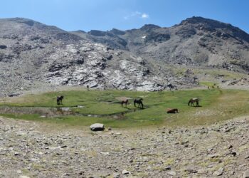 Sierra Nevada convierte el verano en un gran escenario de naturaleza, música y astronomía