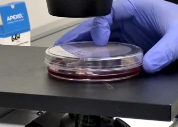 Una vacuna oral contra el ébola desarrollada desde Madrid logra resultados prometedores en estudios preclínicos