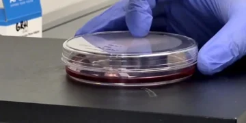 Una vacuna oral contra el ébola desarrollada desde Madrid logra resultados prometedores en estudios preclínicos