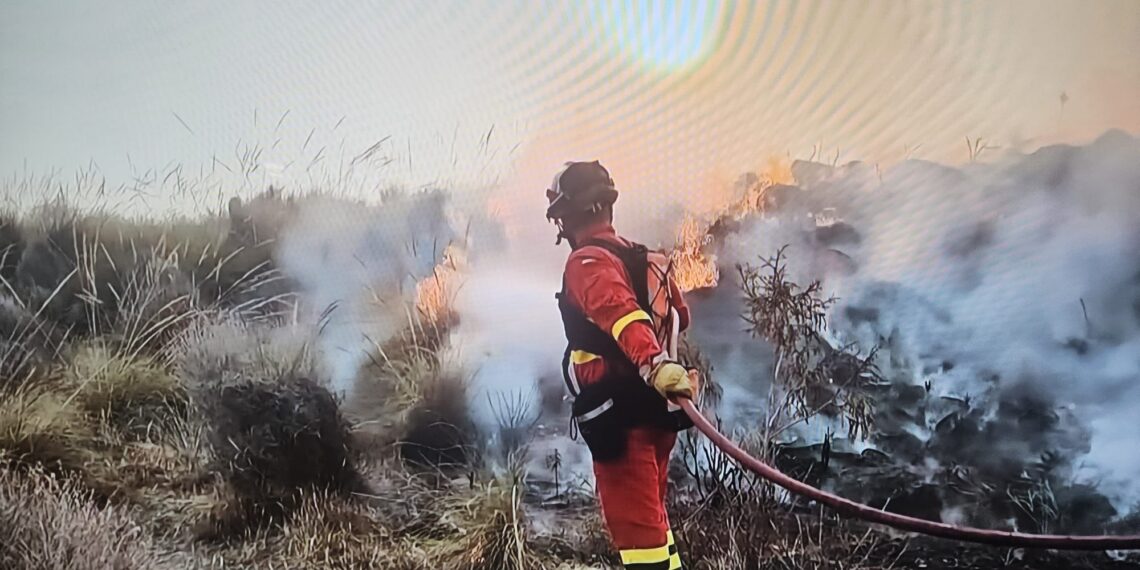 Incendio Los Gallardos, Almería