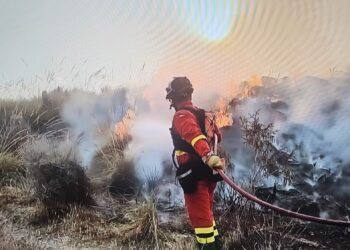 Incendio Los Gallardos, Almería