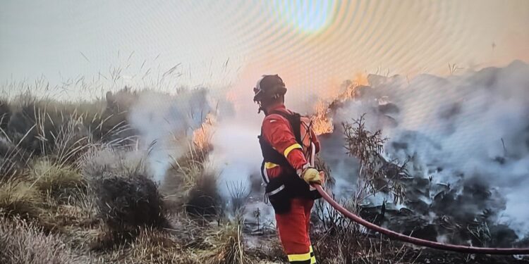 Incendio Los Gallardos, Almería