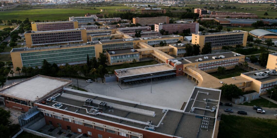 Los Cursos de Verano de la Universidad Pablo de Olavide baten récord de participación y consolidan a Carmona como referente de formación estival