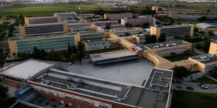 Los Cursos de Verano de la Universidad Pablo de Olavide baten récord de participación y consolidan a Carmona como referente de formación estival