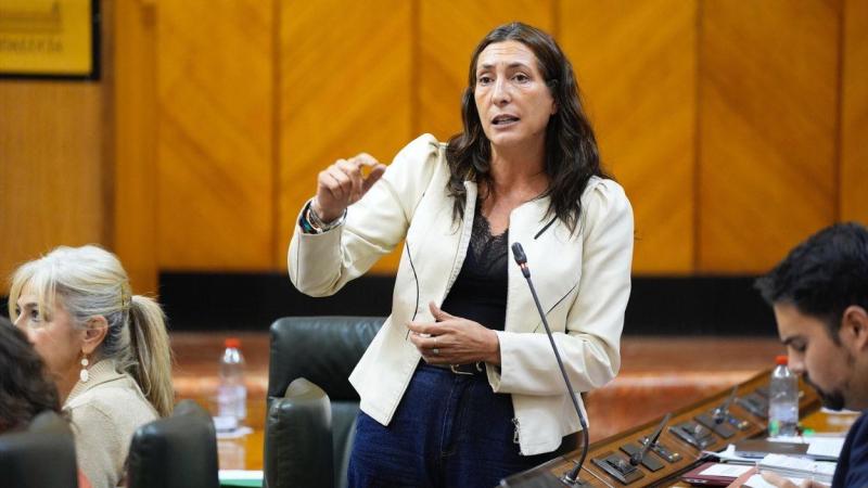 La consejera de Inclusión Social, Juventud, Familia e Igualdad en funciones, Loles López, en el Parlamento andaluz / EP.