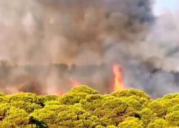 Declarado un incendio forestal junto a una urbanización de Lepe que obliga a activar el Plan de Emergencias
